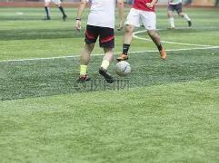 神秘白猫解,双色球第,期独家攻略,重庆体彩,重庆体彩网,重庆体彩网官网,体育彩票,体彩大乐透,竞彩足球,体彩公益