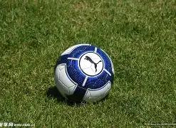 彩界巅峰预,福彩双色球,独家复式,重庆体彩,重庆体彩网,重庆体彩网官网,体育彩票,体彩大乐透,竞彩足球,体彩公益