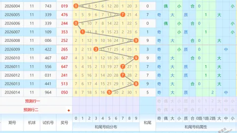 [耐克阿迪]大乐透26010期预估前12+后3，分享啦