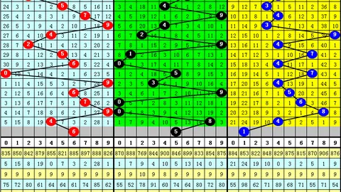 第2026062期 大乐透2026062期汪桂枝预测：快乐8
